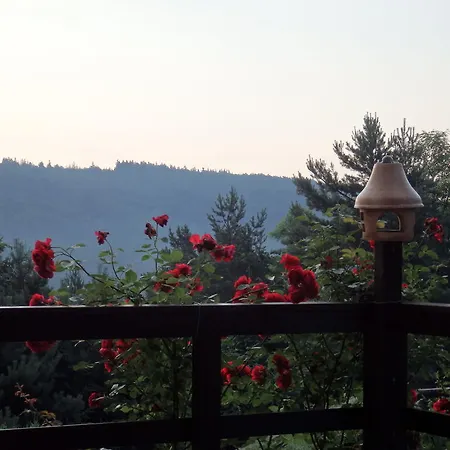 Guest house Blanka Horni Podkozi