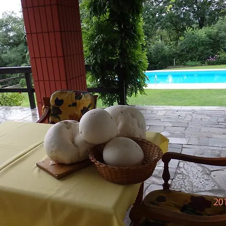 Guest house Blanka 3*