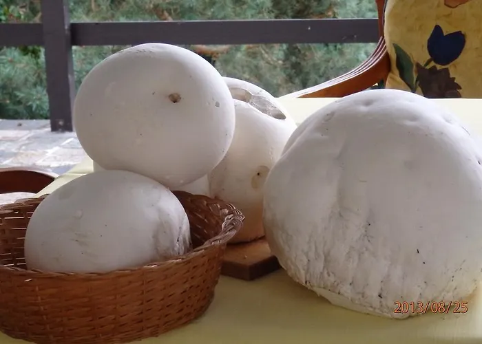 Blanka Horní Podkozí