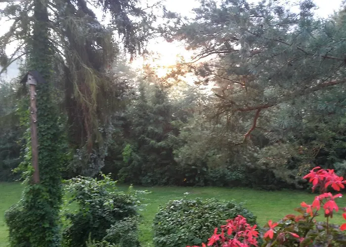 Guest house Blanka Horni Podkozi